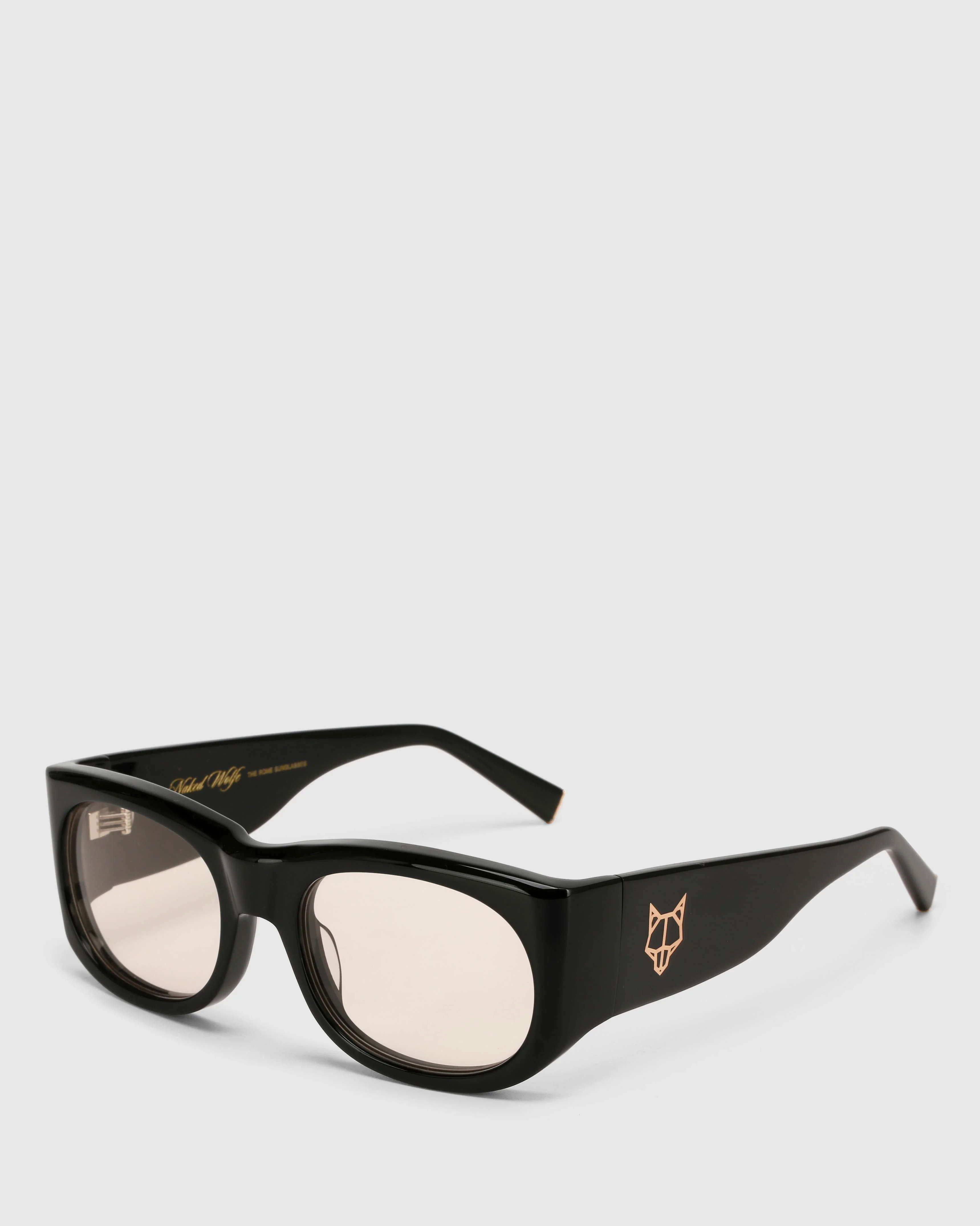 Rome Black/Tint Sunglasses - Image 4