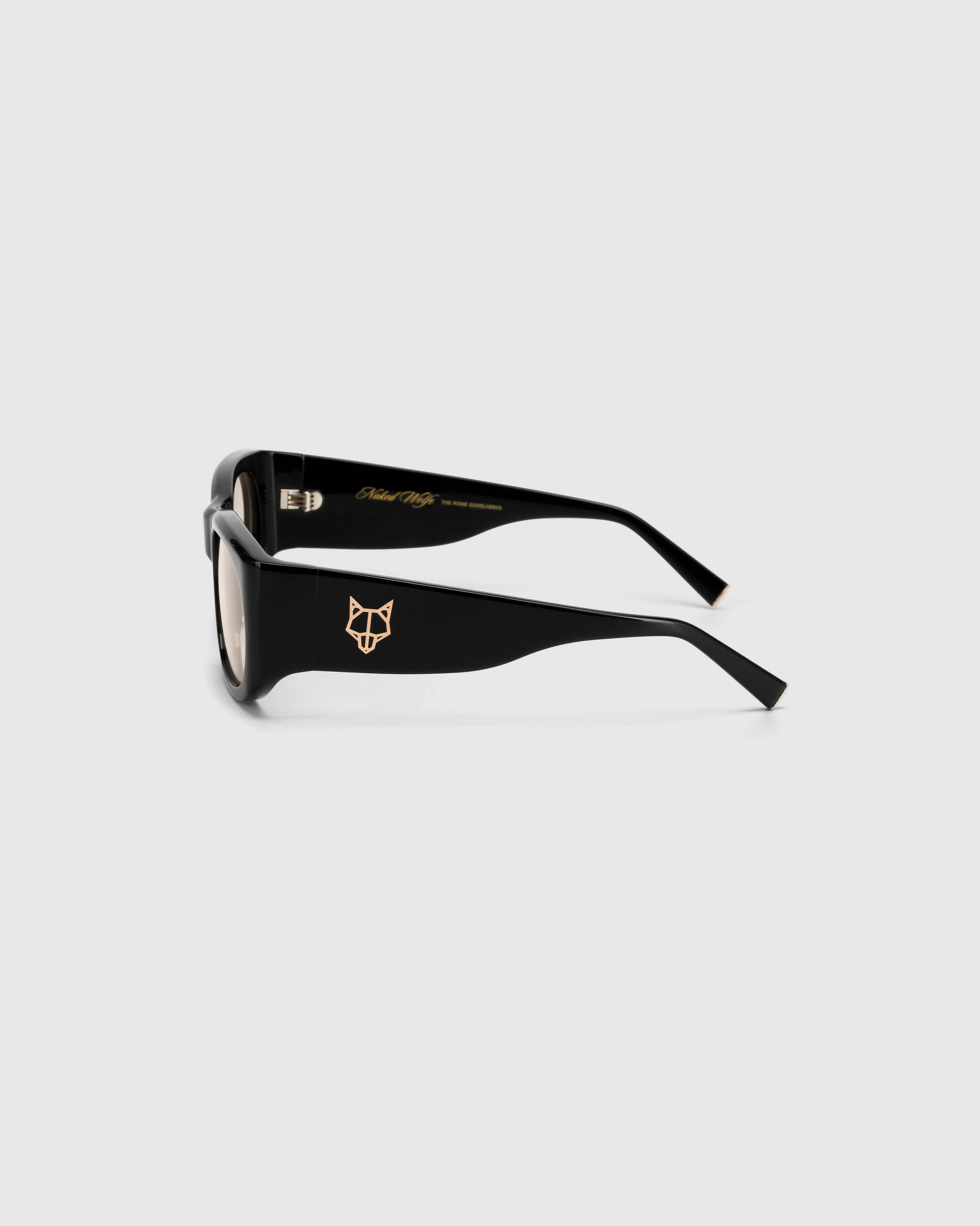 Rome Black/Tint Sunglasses - Image 5