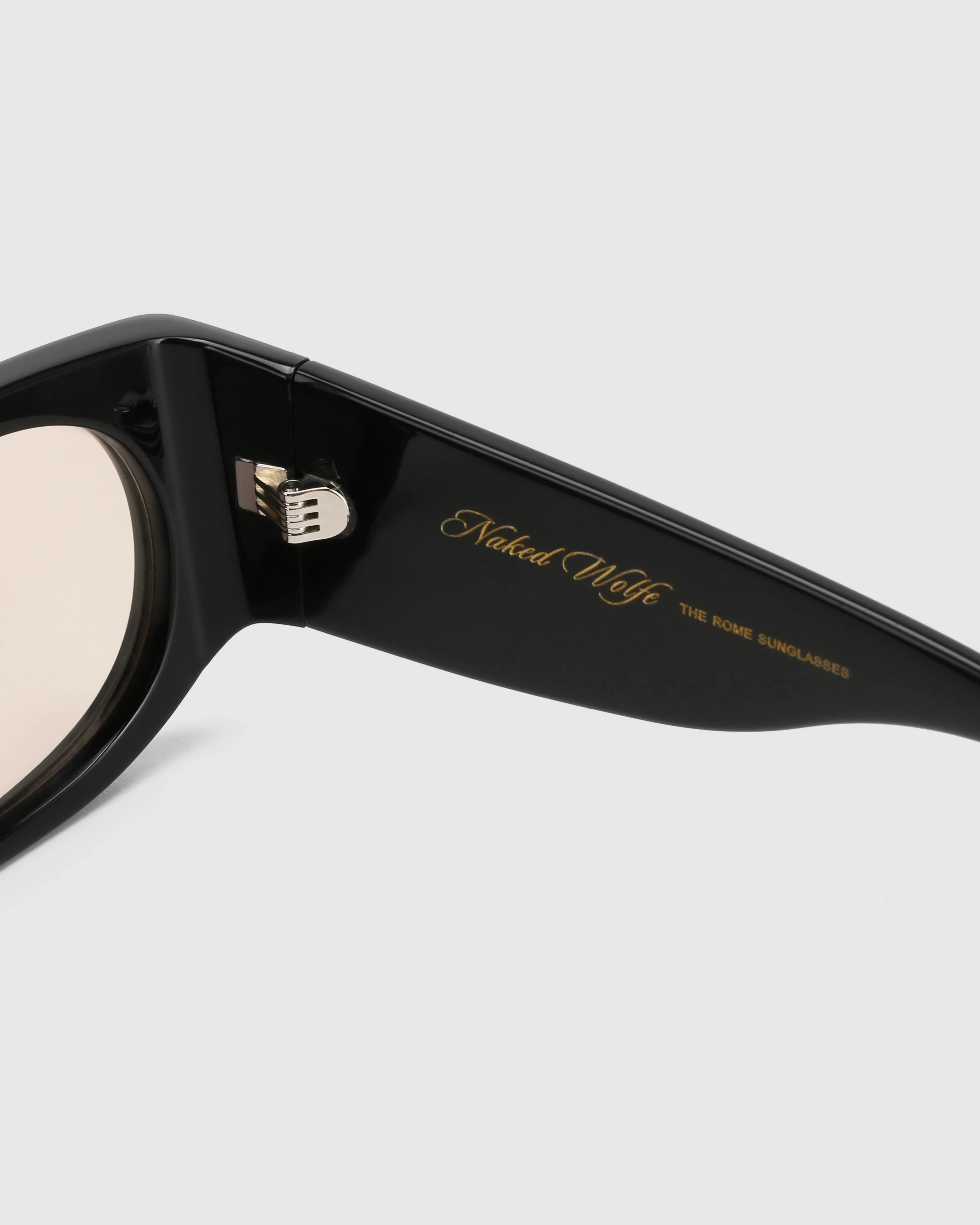 Rome Black/Tint Sunglasses - Image 8