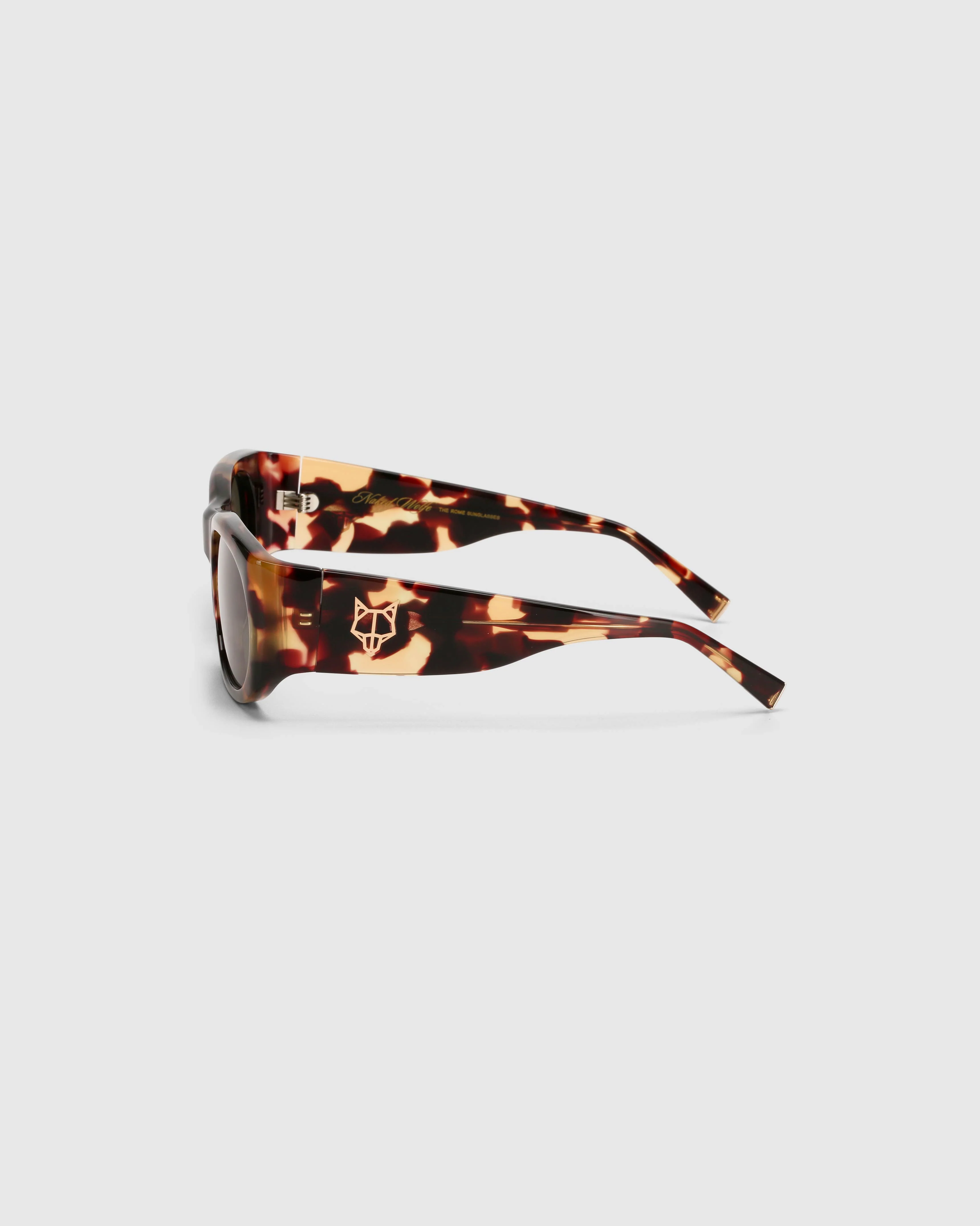Rome Tortoiseshell Sunglasses - Image 5